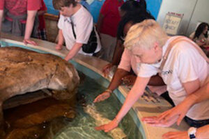 gracious-services-day-habilitation-program-carousel-image-11