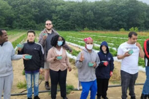 gracious-services-day-habilitation-program-berry picking