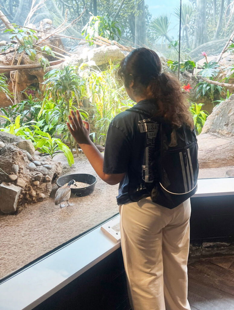 Gracious-Services-NJ-Behavioral-Special-Needs-Summer-Camp-Minal-Zoo-Window-ready