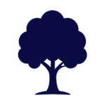 noun-tree-8388169